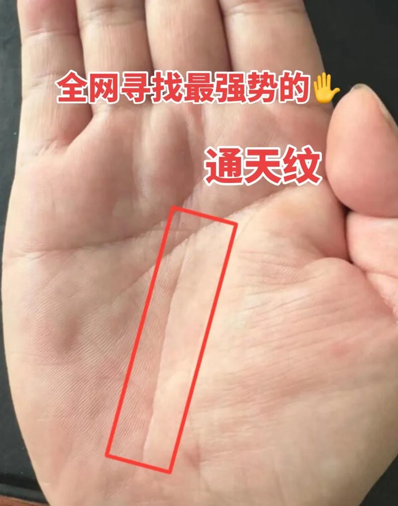 网上说的手相准不准_2