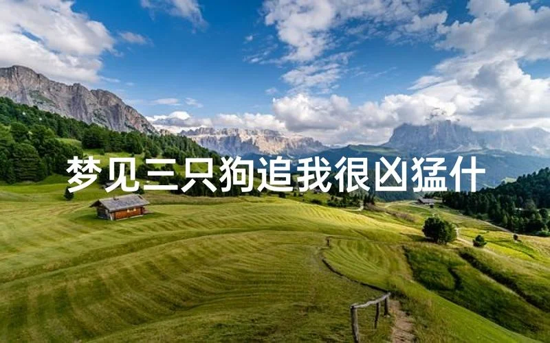 梦见狗追狗是什么意思_2
