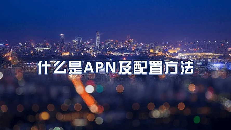 什么是apn-什么是 APN