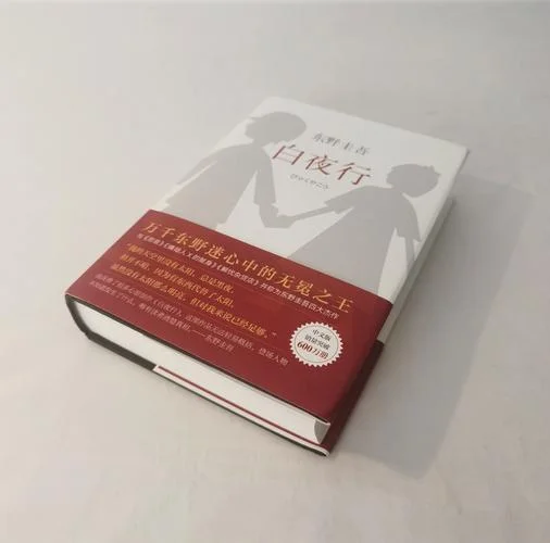 白夜行感悟启发100字-白夜行感悟启发