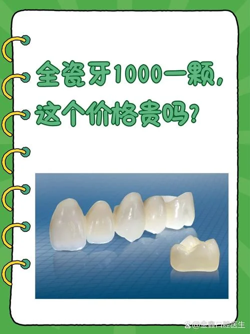 非金属烤瓷牙多少钱一粒_2