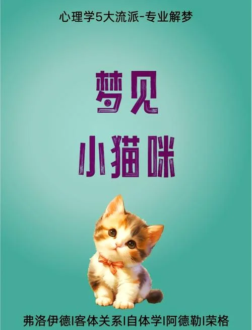 梦见黄色小猫_2