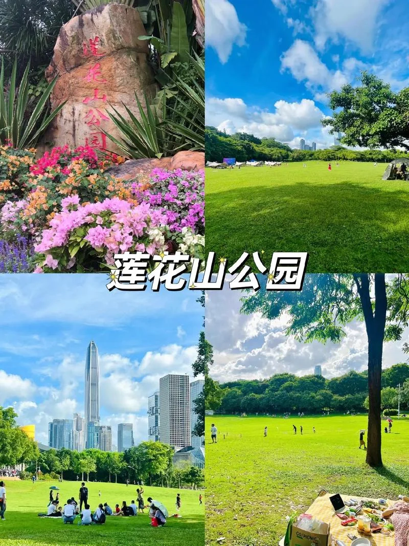 深圳免费游玩景点_2