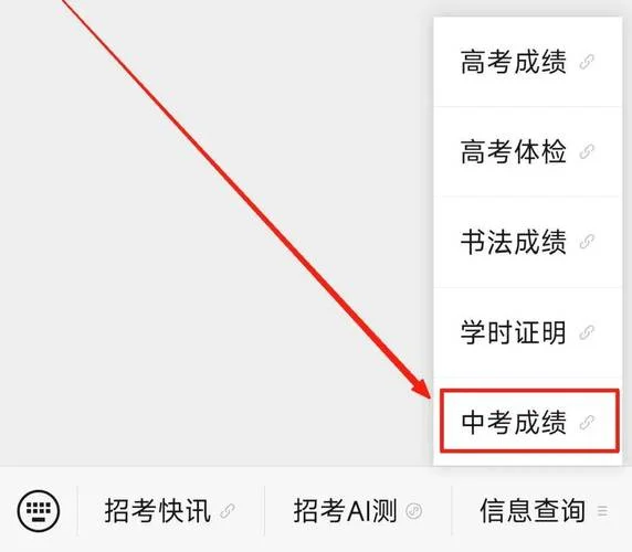 成绩怎么查_2