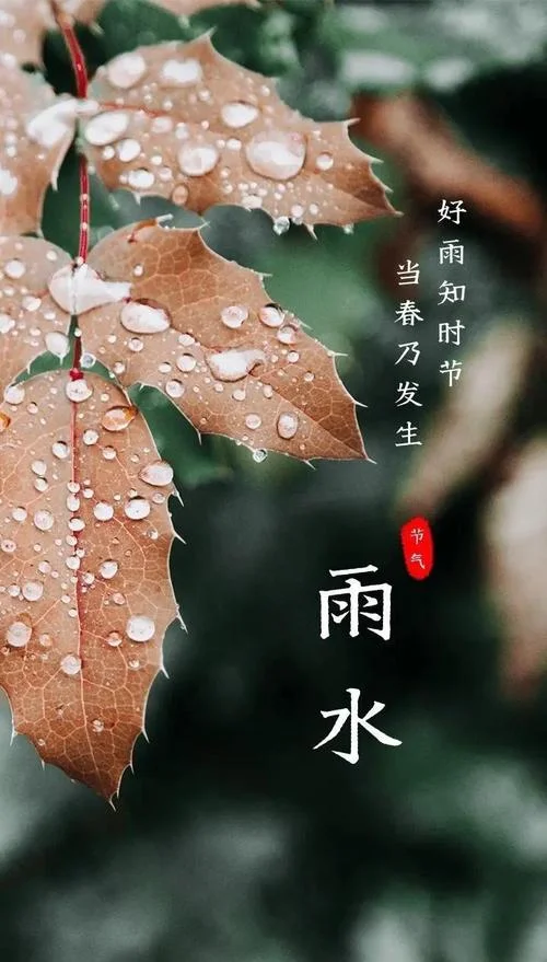 春雨贵如油下一句图片-春雨贵如油下一句