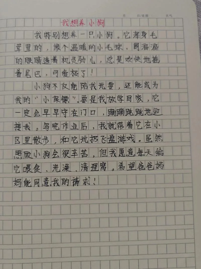 写一篇小动物的作文200-小动作文写二十