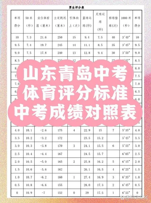 中考体育成绩-中考体育成绩