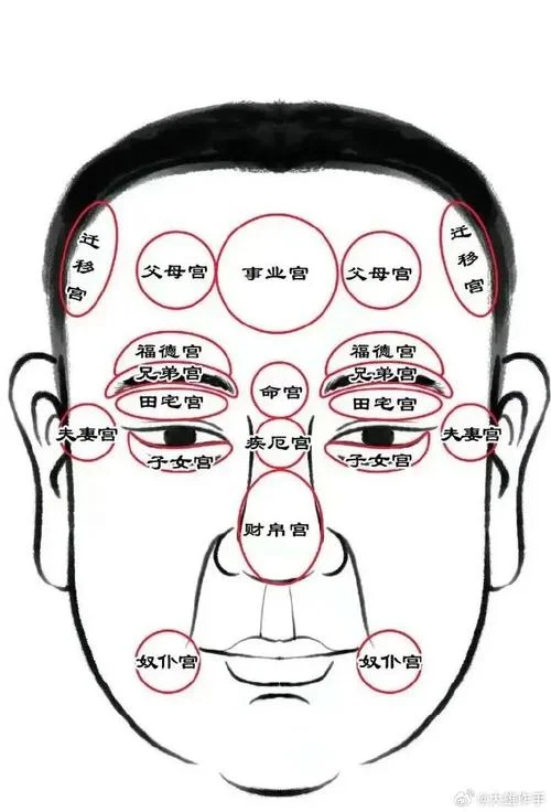 耳朵看面相大全图解_2