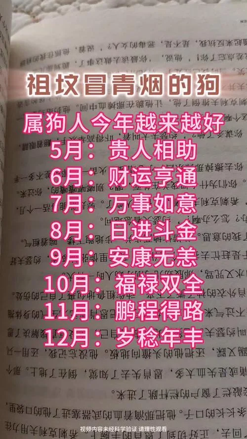 1970年属狗运势婚姻_2