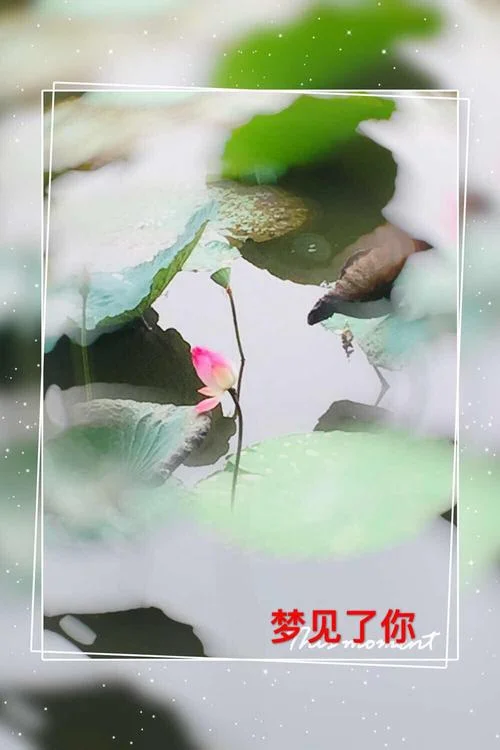 梦见和喜欢的人聊微信_1