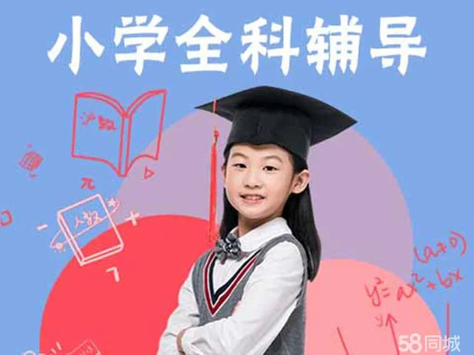 辅导小学语文多少钱_1