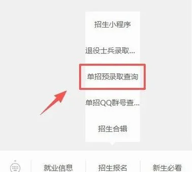 高职单招录取结果查询_1