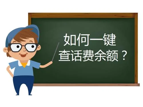 得仕卡如何查余额_2