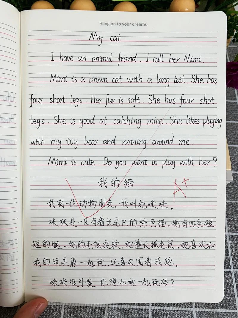 我写个英语作文怎么写-英语作文写作指引