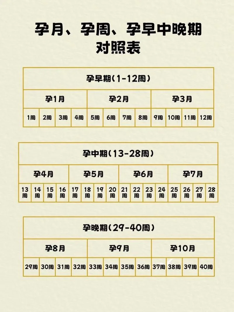 孕几月能看出上怀下怀-孕月辨上怀下怀