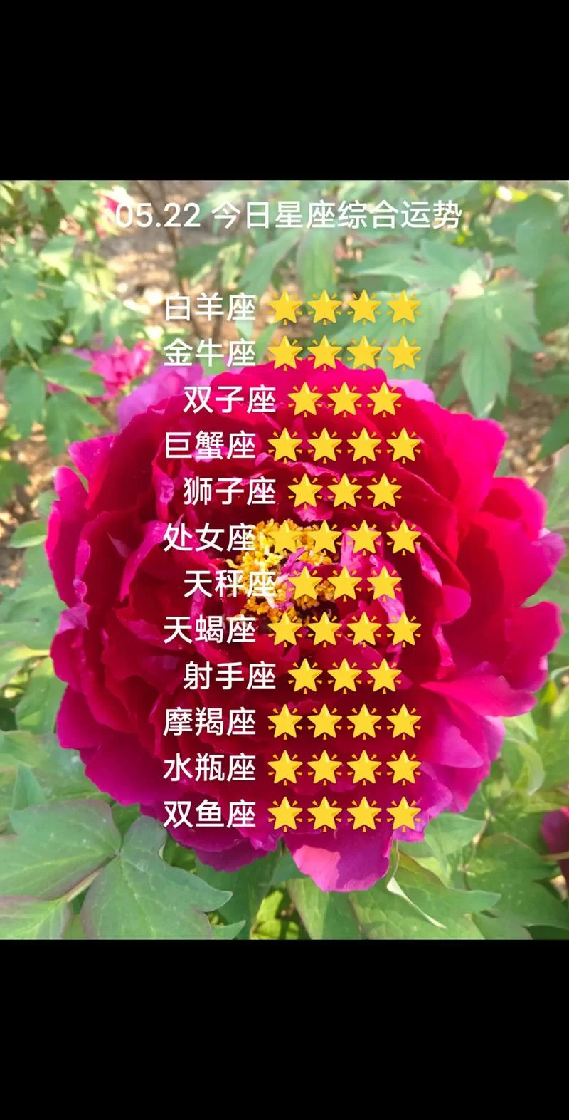 白羊座今日运势女方位-白羊座女今日运势方位