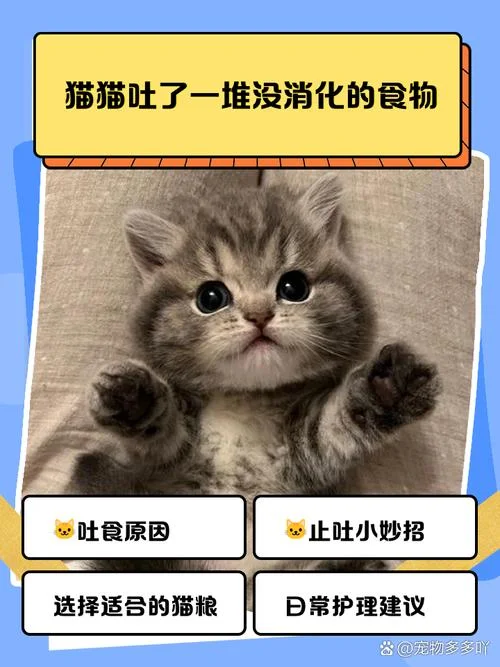 梦见猫吐了_1
