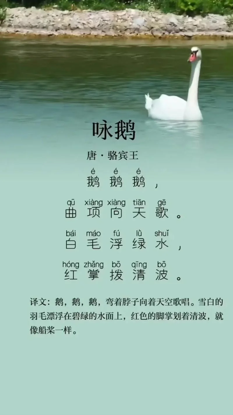 鹅作者是谁写的-鹅作者是谁