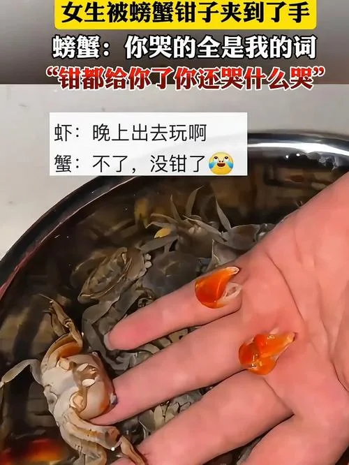 女人梦见抓到很多螃蟹_2