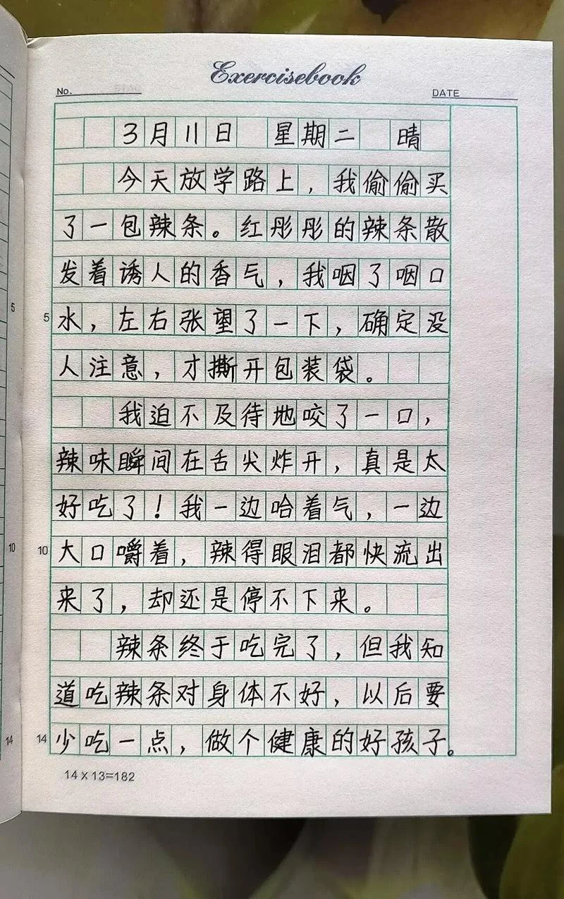 一天一篇日记感悟_1