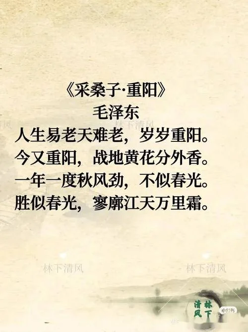 待到重阳日下一句诗句-待到重阳日下一句