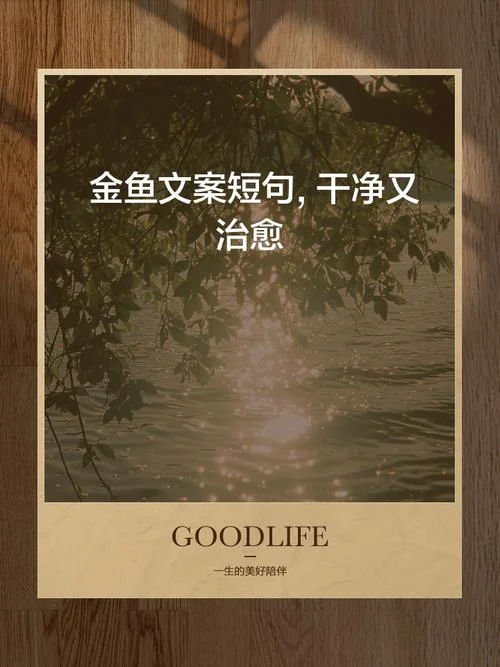 喂鱼心情感悟短句-闲庭喂鱼，心静如水