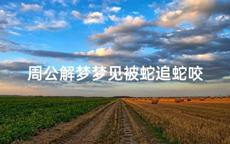 梦见被大蛇追着咬_1