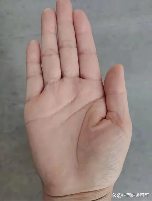 手相直觉纹_1