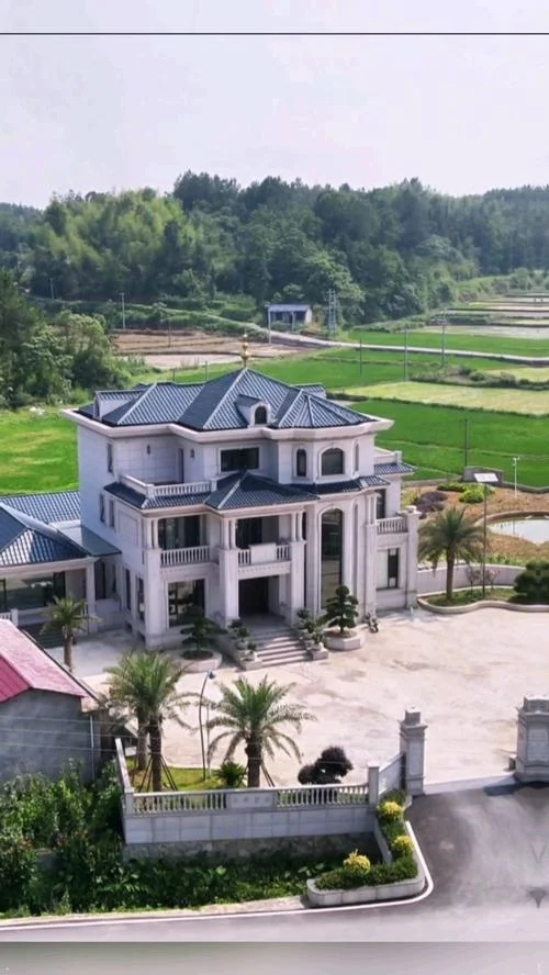 花所有积蓄在农村建一个别墅_2