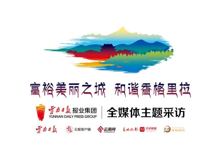 云南资格证书查询网站_1