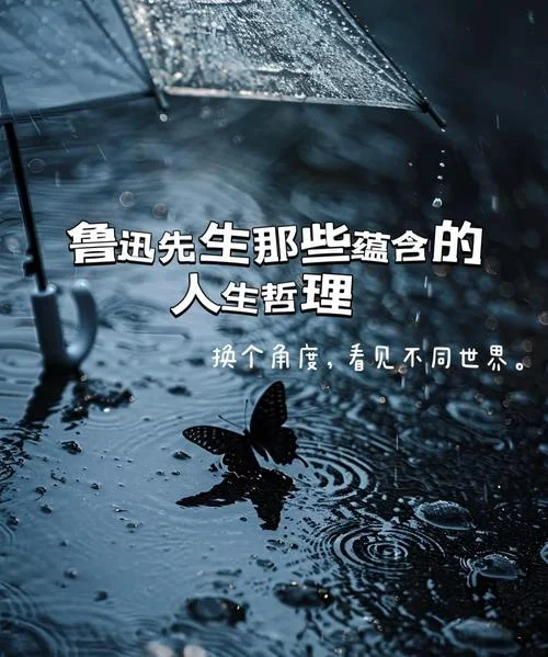人生道理书籍-人生道理书籍