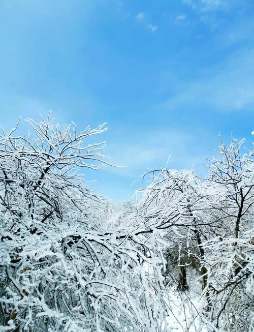 梦见雪景什么预兆_1