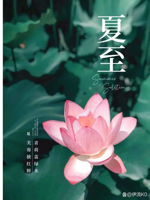 夏至文案配图简单_1