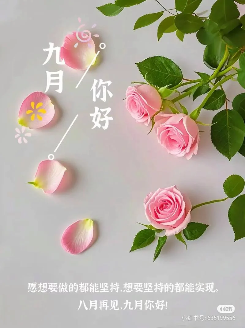 9月9号文案_2