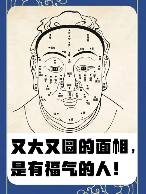 面相圆润的人有福气_2