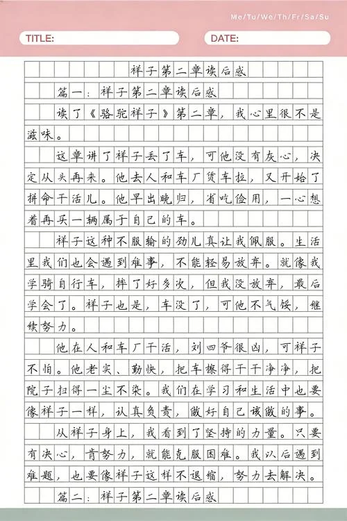 骆驼祥子第二章读后感悟50字-二章祥子买车
