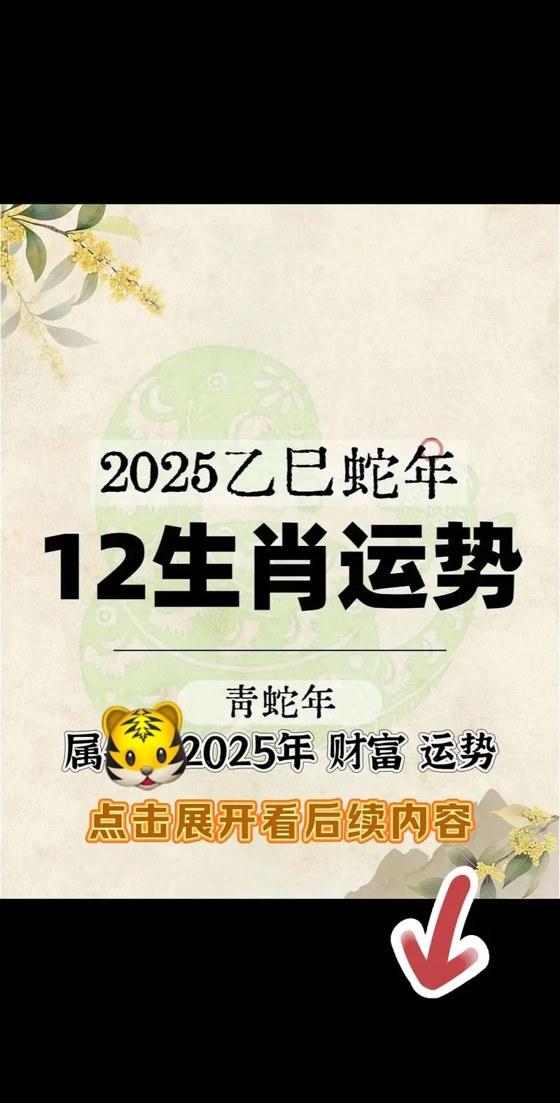2017年属虎的运势女_1