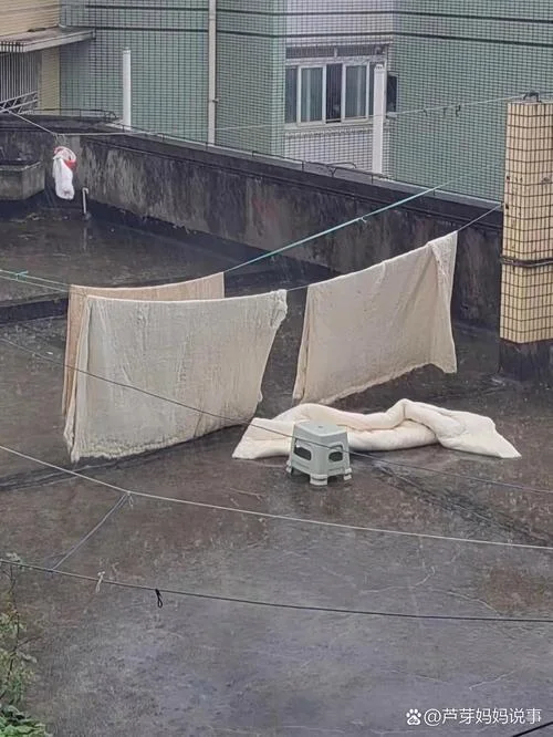 梦到被子被雨淋湿_1