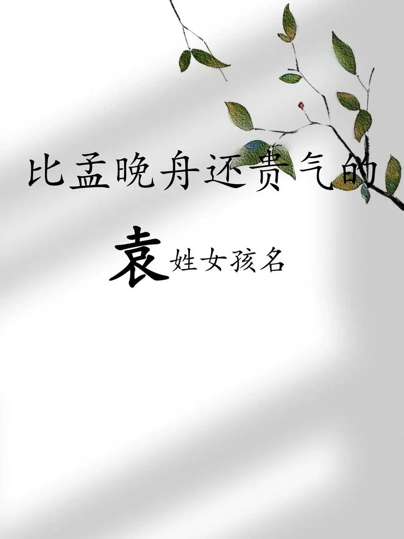 袁姓女孩起名最新_1