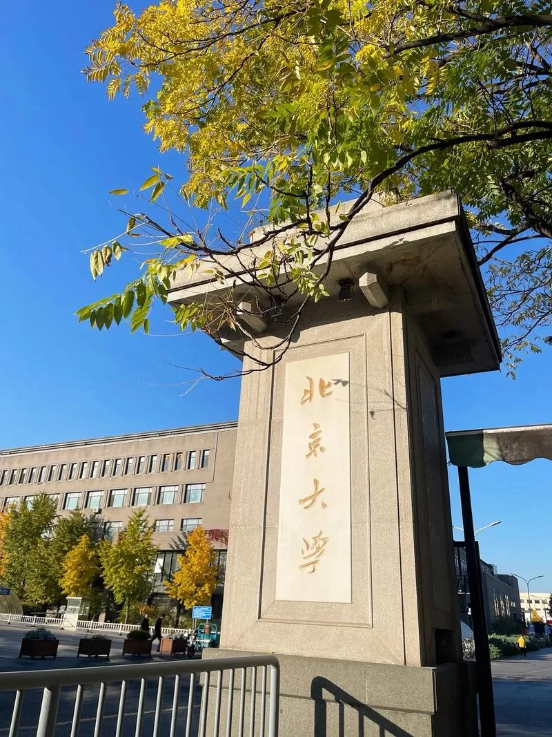 北京大学法学院_1