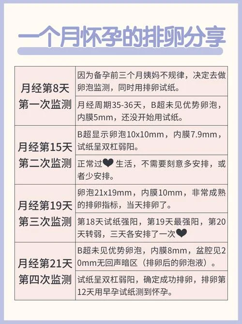 备孕期间不排卵怎么办_1