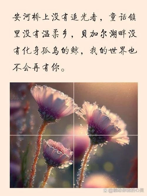 发朋友圈说说图片伤感-朋友圈伤感拼图片