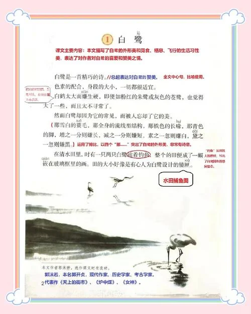 白鹭的作者是谁啊_1