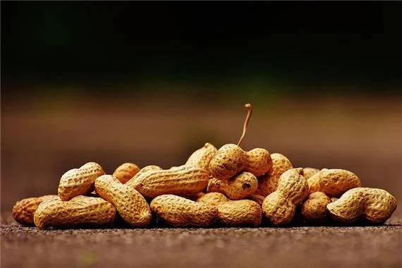 梦见被蜈蚣咬了是什么意思 周公解梦_2