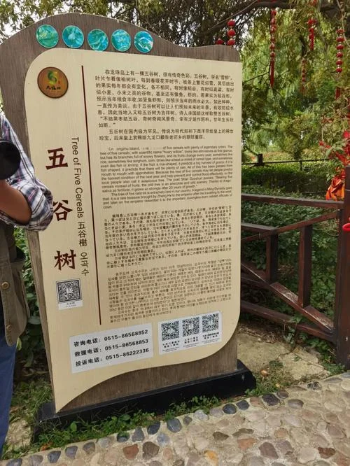 五谷树多少钱一棵_1
