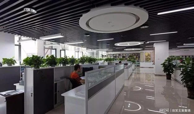 初中文凭可以报考专升本_2