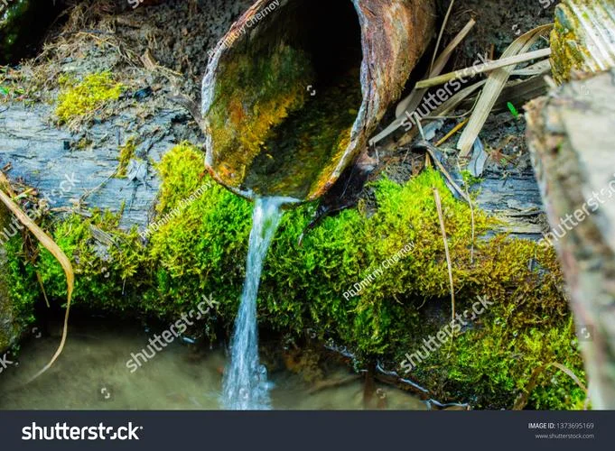 梦见水的自来水管_1