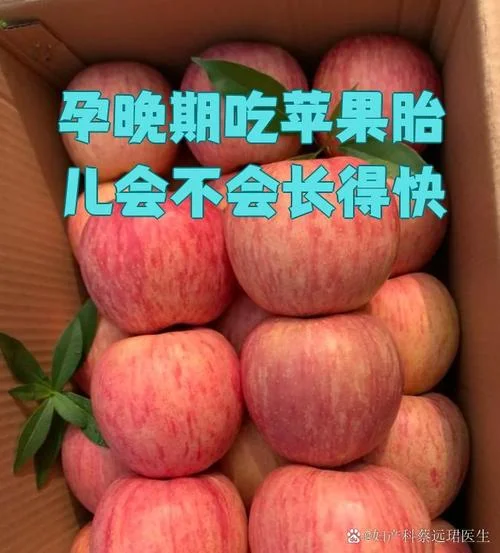 孕妇梦到吃苹果_2