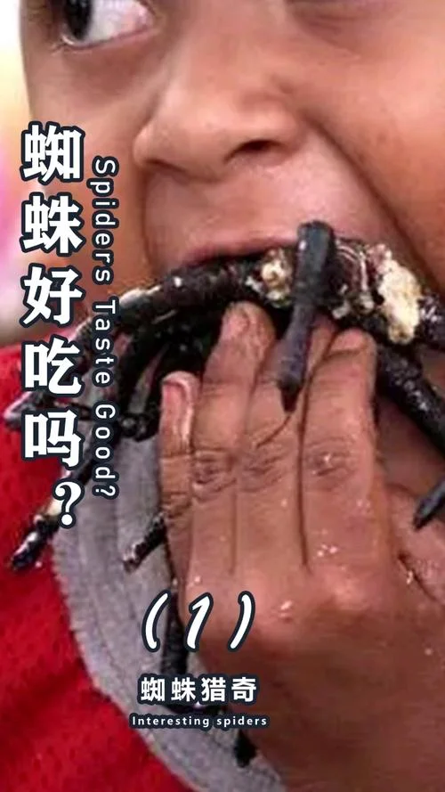 梦见吃蜘蛛是什么意思-梦见吃蜘蛛象征灾祸