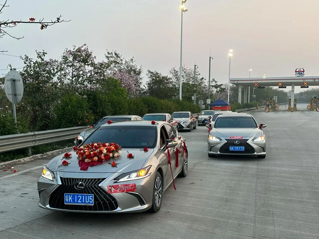 史上最牛婚礼车队_2